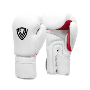 MMA Sparring Gloves